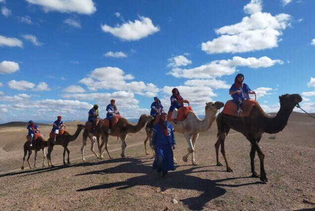 transport marrakech camel ride in agafay