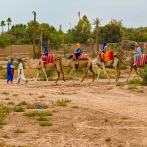 camel ride quad desert agafay